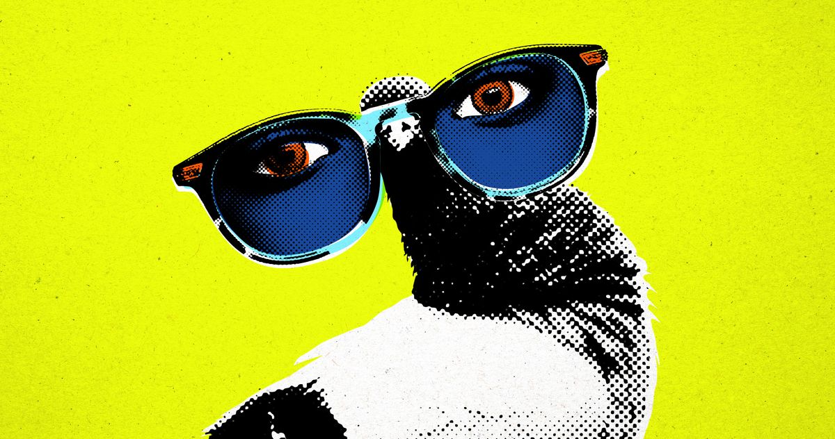 The Best Eyeglasses Shops in NYC 2022