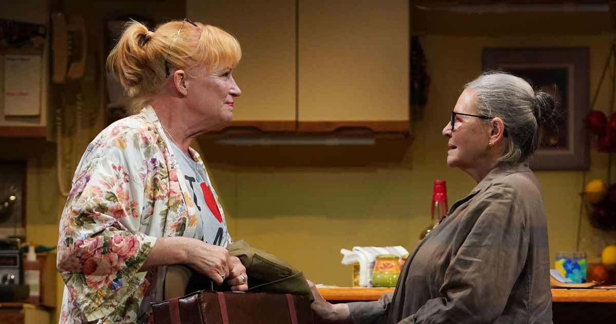 Theater Review: 'Scene Partners,' Starring Dianne Wiest - Vimarsana News