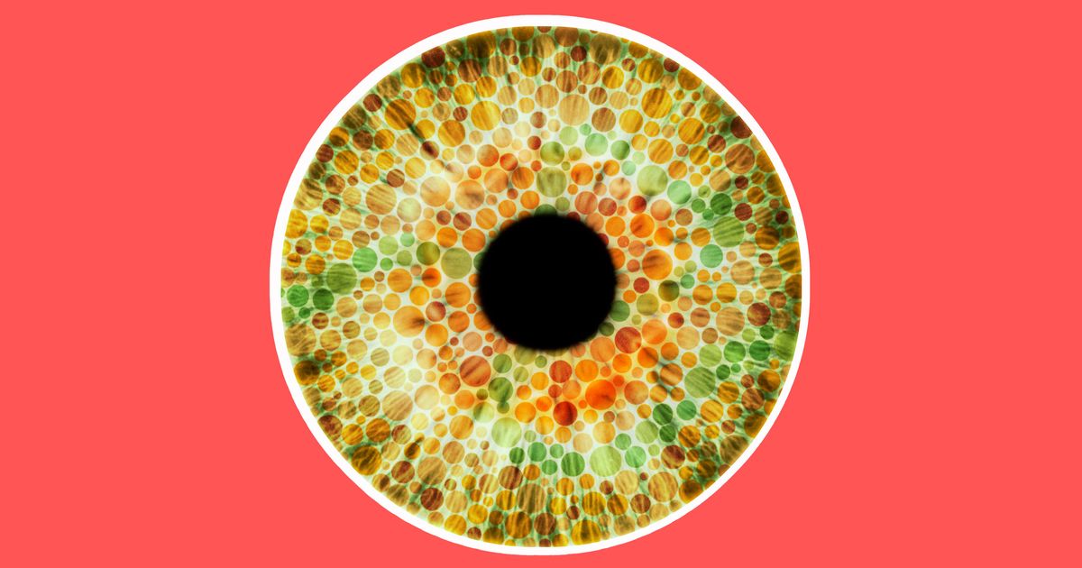 Preschool Color Blind Test For Kids You Can Begin Testing For Color 