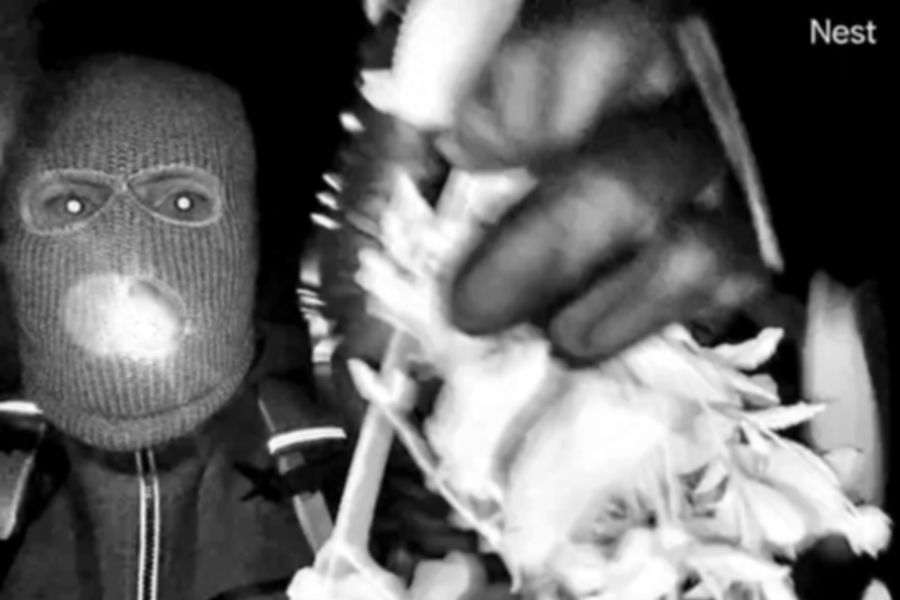 What We Know About the Nancy Guthrie Missing-Persons Case