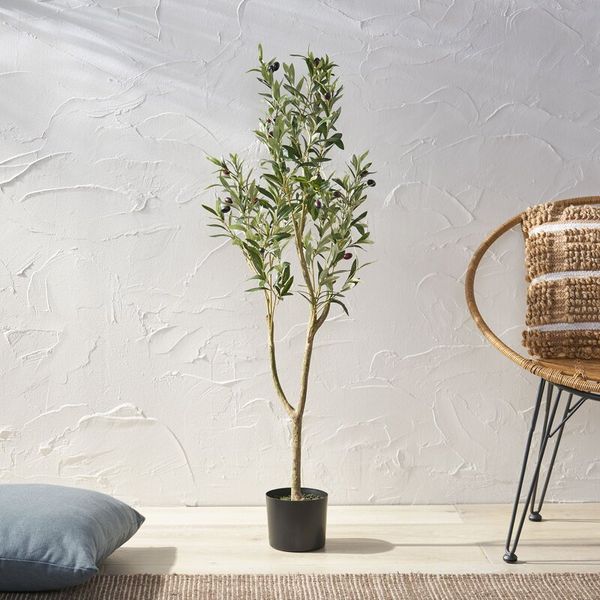 Primrue Aarav Artificial Olive Tree in Pot