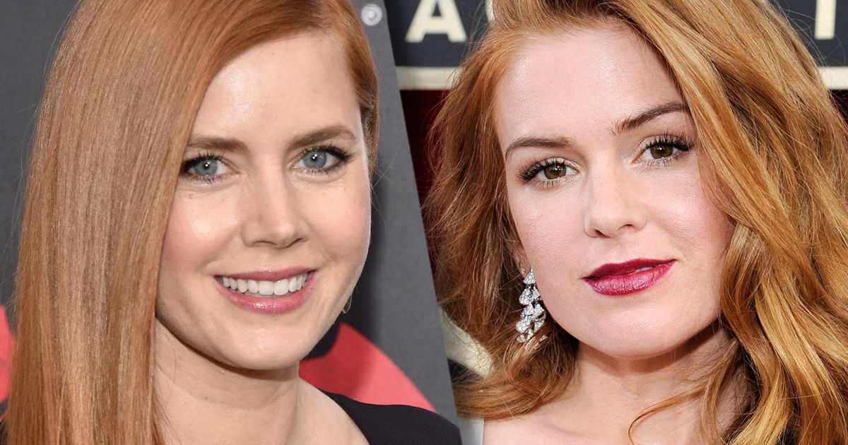 Finally A Movie About How Amy Adams And Isla Fisher Are The Exact Same