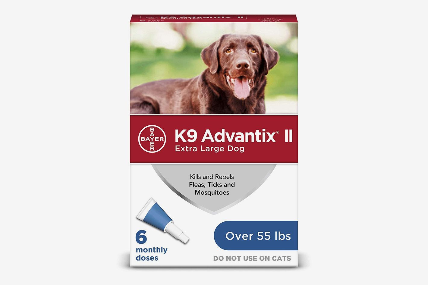 6 Best Tick Treatments For Dogs 2023 | The Strategist