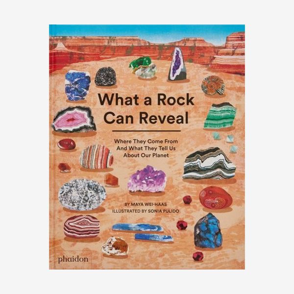 ‘What a Rock Can Reveal,’ by Maya Wei-Haas