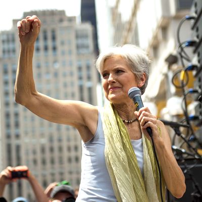 Jill Stein, Somebody's Sister.