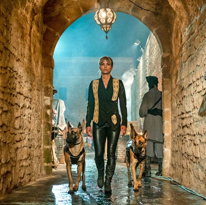 what breed of dog is in john wick 2