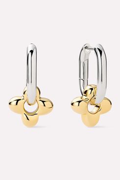 Ana Luisa Cassia Hoops