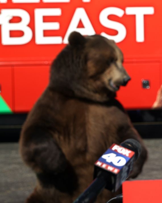 John Cox Launches California Governor Campaign With Bear