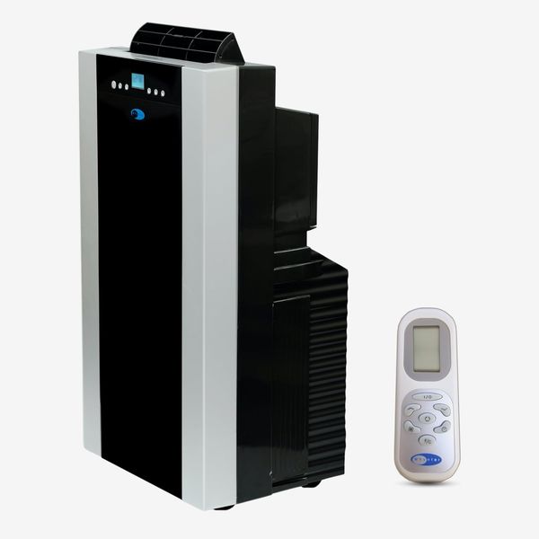 Whynter ARC-14S Dual-Hose Portable Air Conditioner