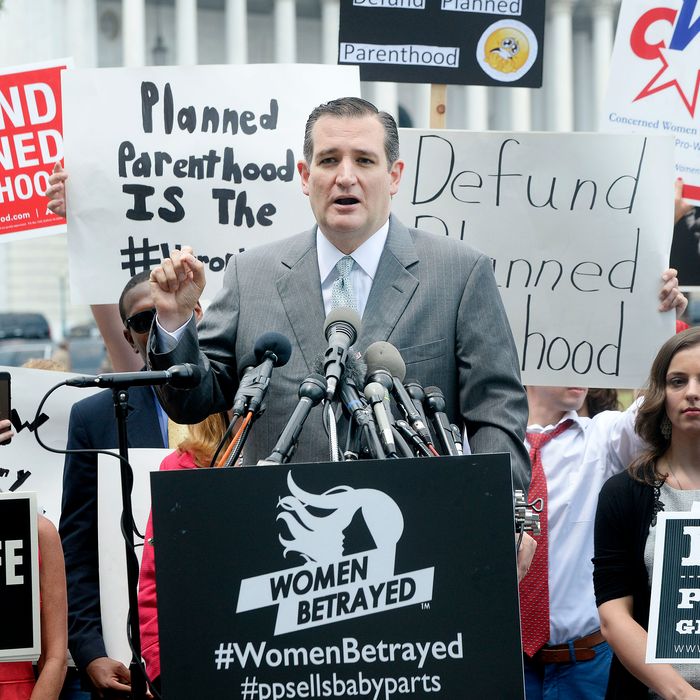 Senator Ted Cruz speaks during an anti-aobrtion rally in front of the U.S. Capitol on July 28, 2015. 