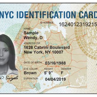 NYC Lawmakers Will Destroy Municipal I.D. Cardholders’ Data Because ...