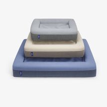 Casper Memory-Foam Dog Bed