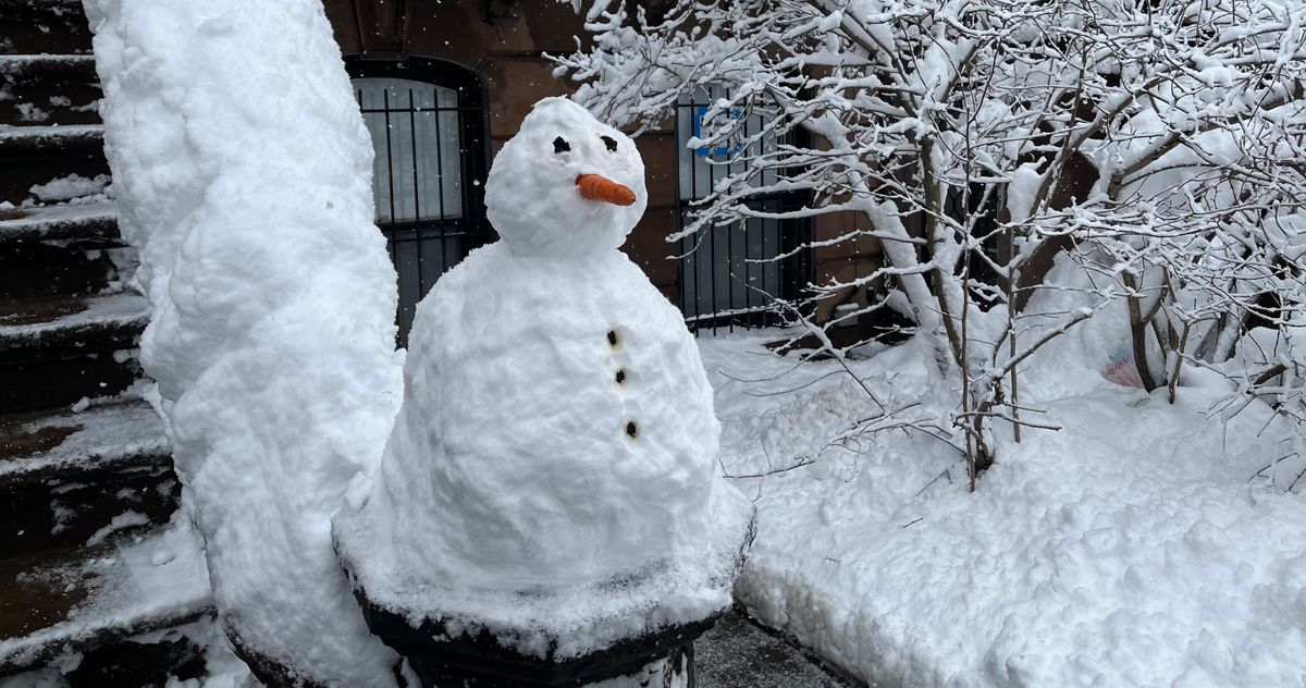 17 mins ago gallery gallery Scenes From Your Blizzard By Maura Friedman and Chas Danner New York readers’ images from the storm, including clever snowmen, cozy windows, pillowy stoops, near-empty streets, and gorgeous fire escapes.
