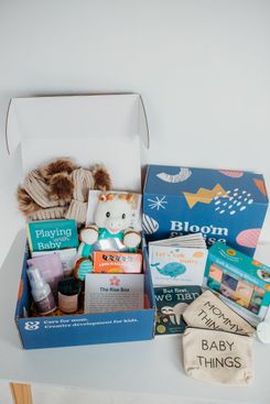 Sample-filled subscription boxes