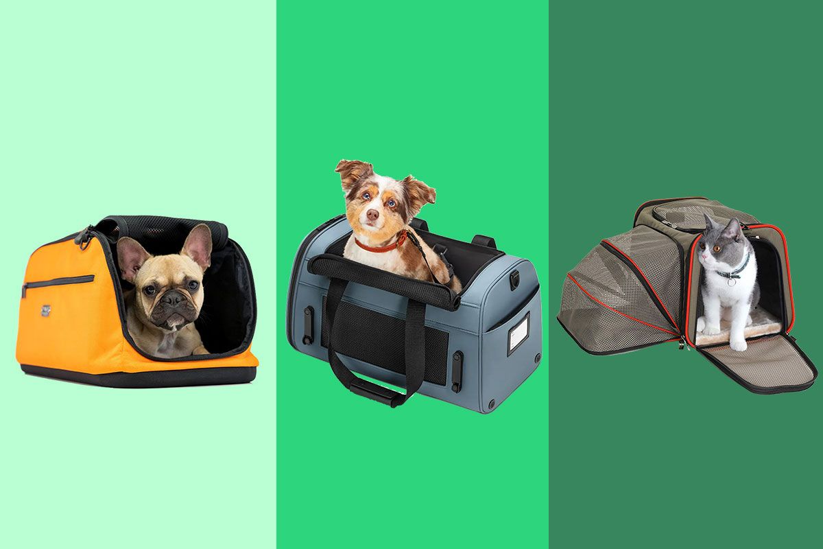 TSA Approved Airplane Underseat Pet Carrier Measy Large Cat Carriers for Large Cats 20 lbs Dog Carriers for Small Dogs with Reusable Anti-Smell Diaper Pad and Foldable Bowl 