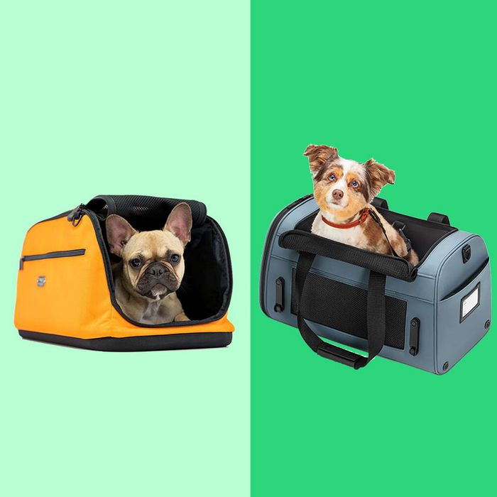 pet carrier