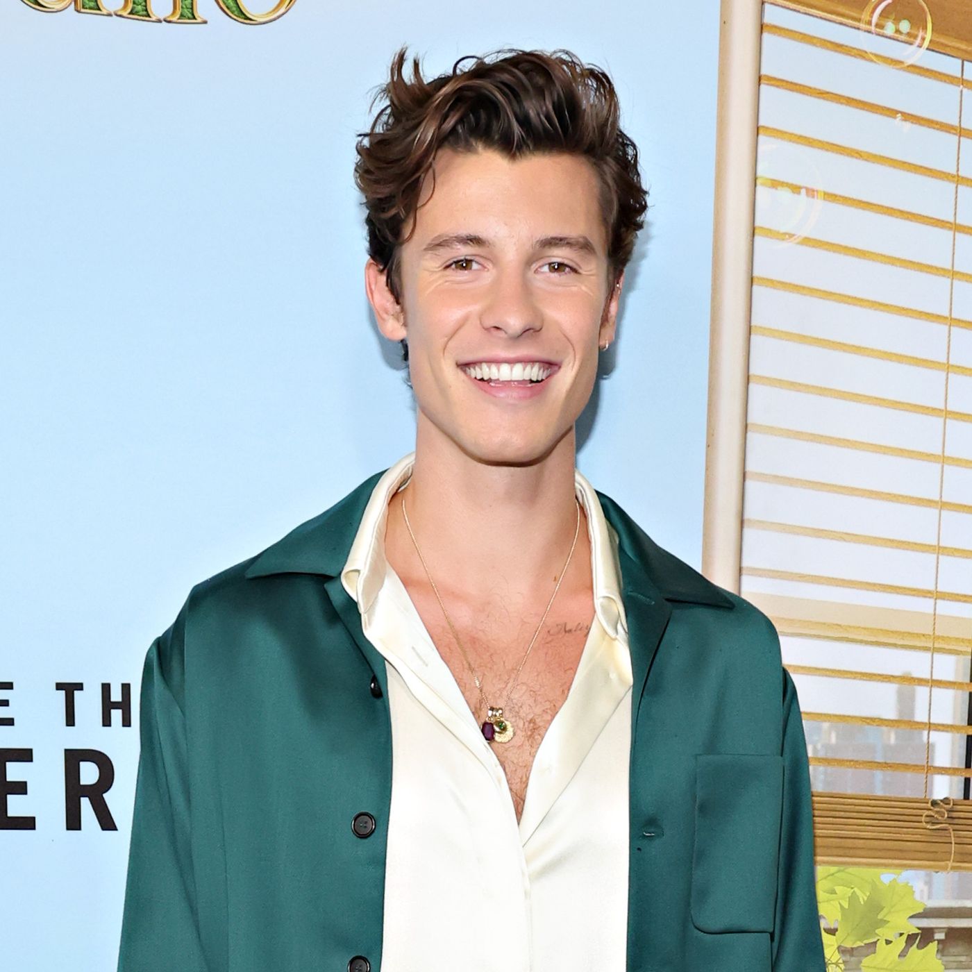 Shawn Mendes Discusses His Comeback to Music