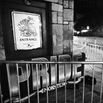 NEWYORKCITY-STONEWALLINN/SHOOTING