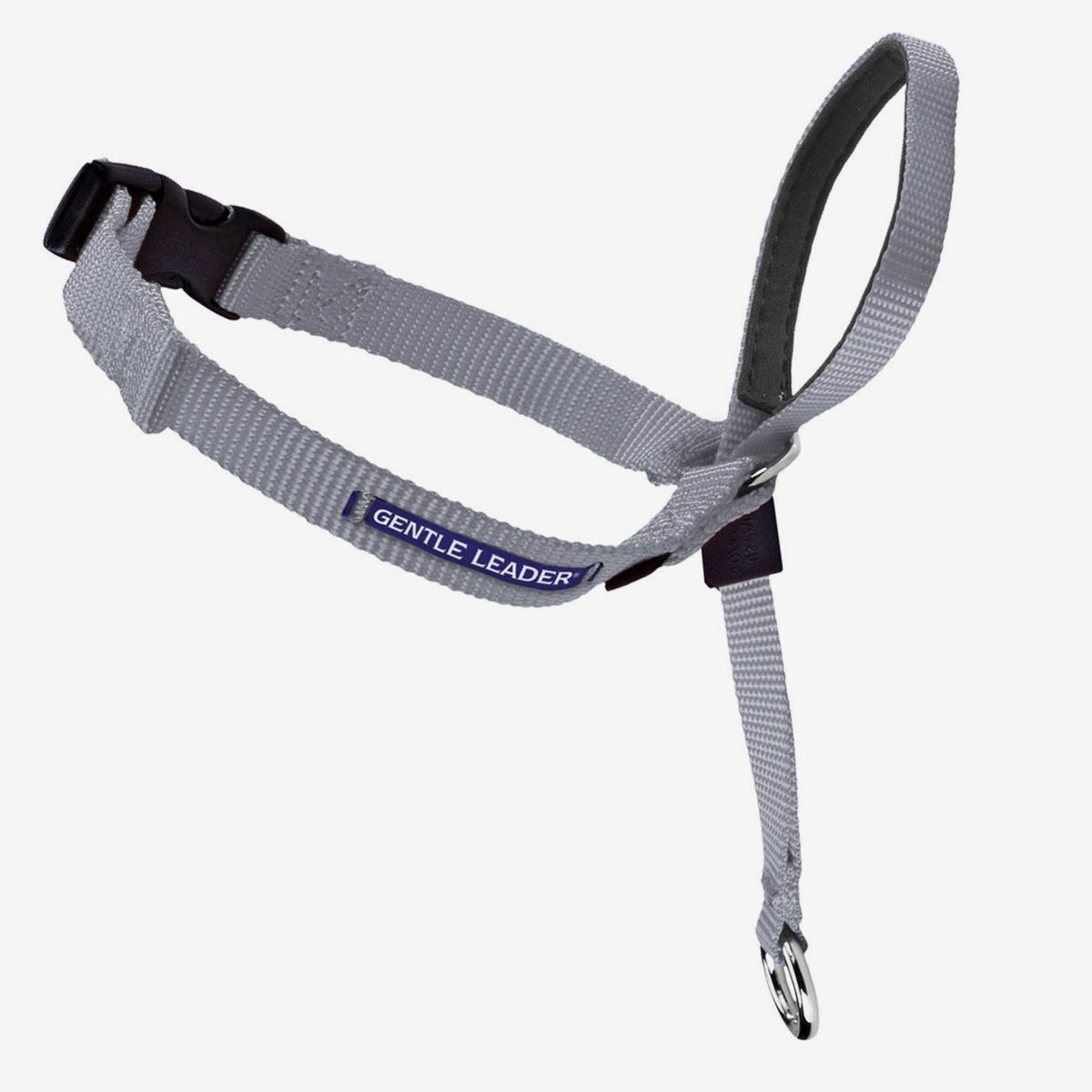 best leash for small dogs that pull