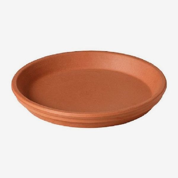 4.33-in Terracotta Clay Plant Saucer