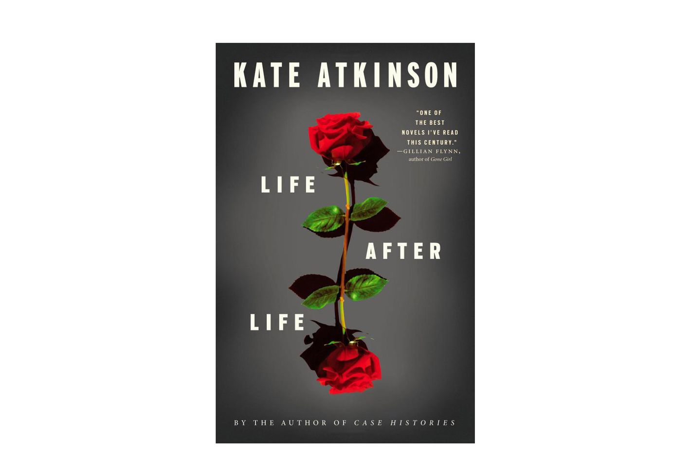 life after life movie life after life movie