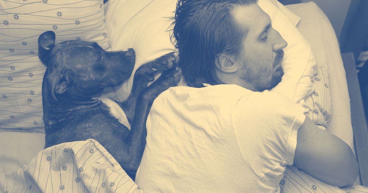 Why Your Dog S Personality Is A Lot Like Yours Science Of Us