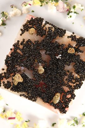 Siberian caviar & thin slices of marinated Daurade, perserved lemon