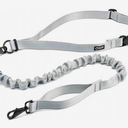 best puppy leash and collar