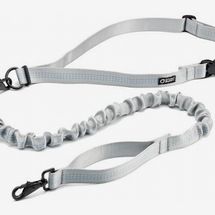 25 Best Dog Leashes 2020 | The 