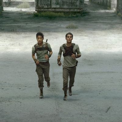 Here's What You Need to Know About The Maze Runner Before You See It
