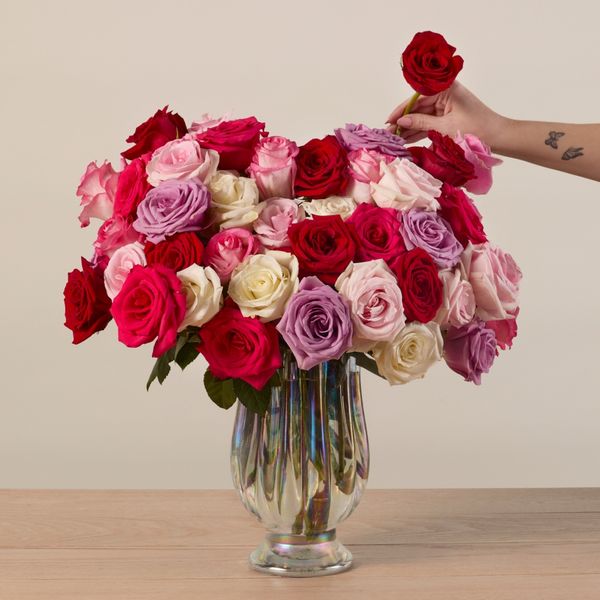 The Bouqs Co. The 50 Valentine Rose Arrangement
