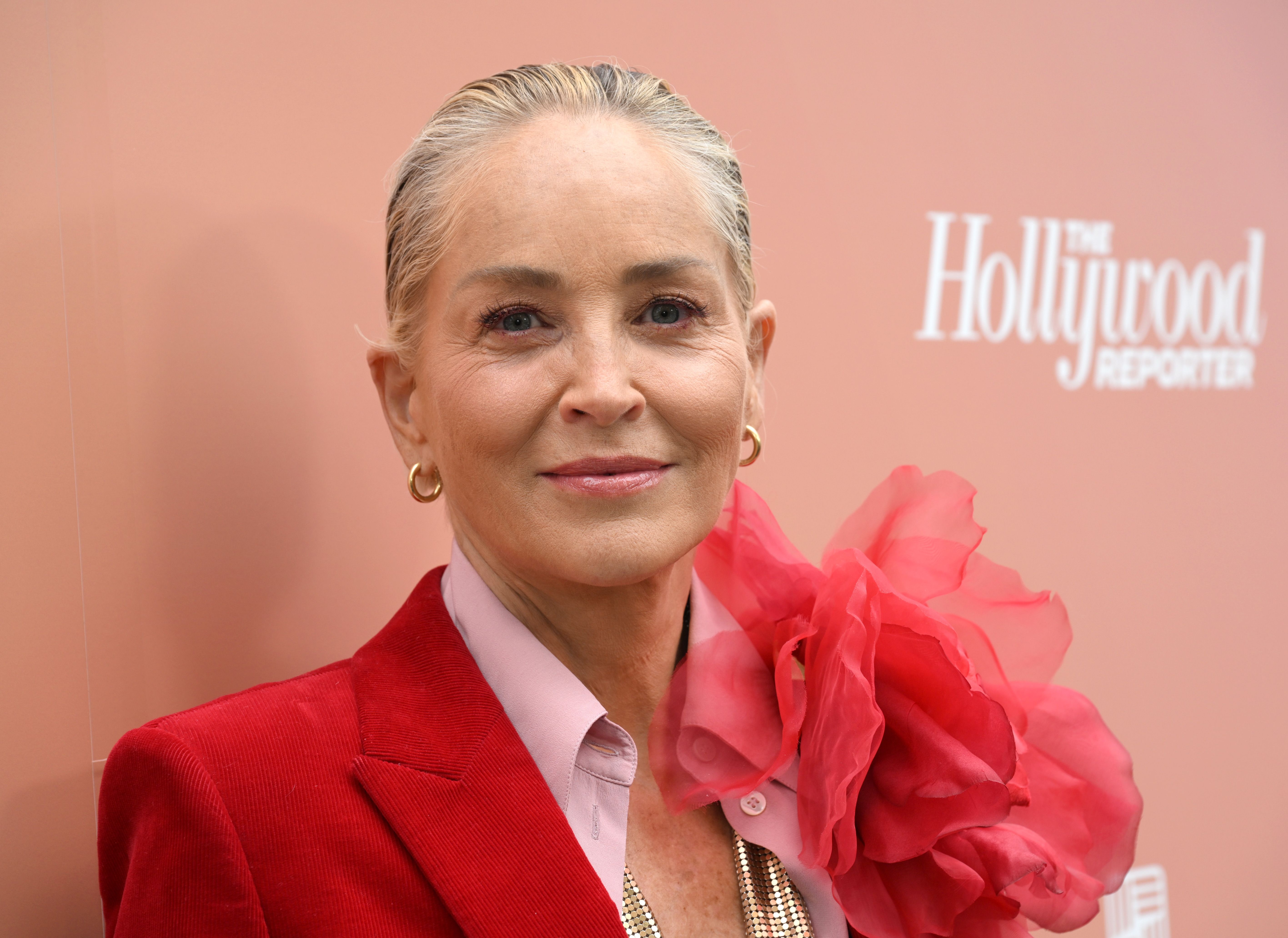 Sharon Stone Accuses Former Sony Head of Sexual Harassment