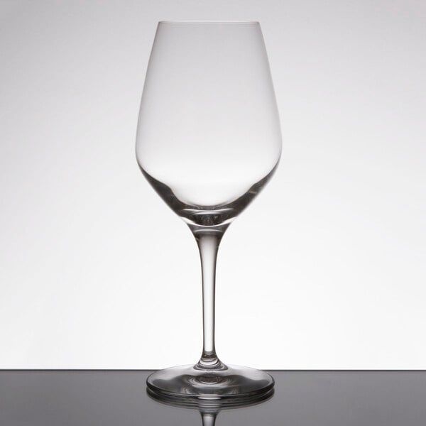 Spiegelau Authentis Wine Tasting Glass