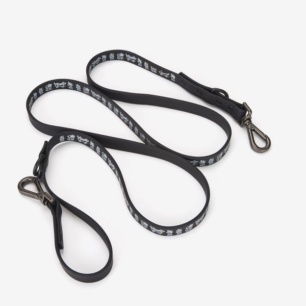 Wild One by But Like Maybe Standard Leash