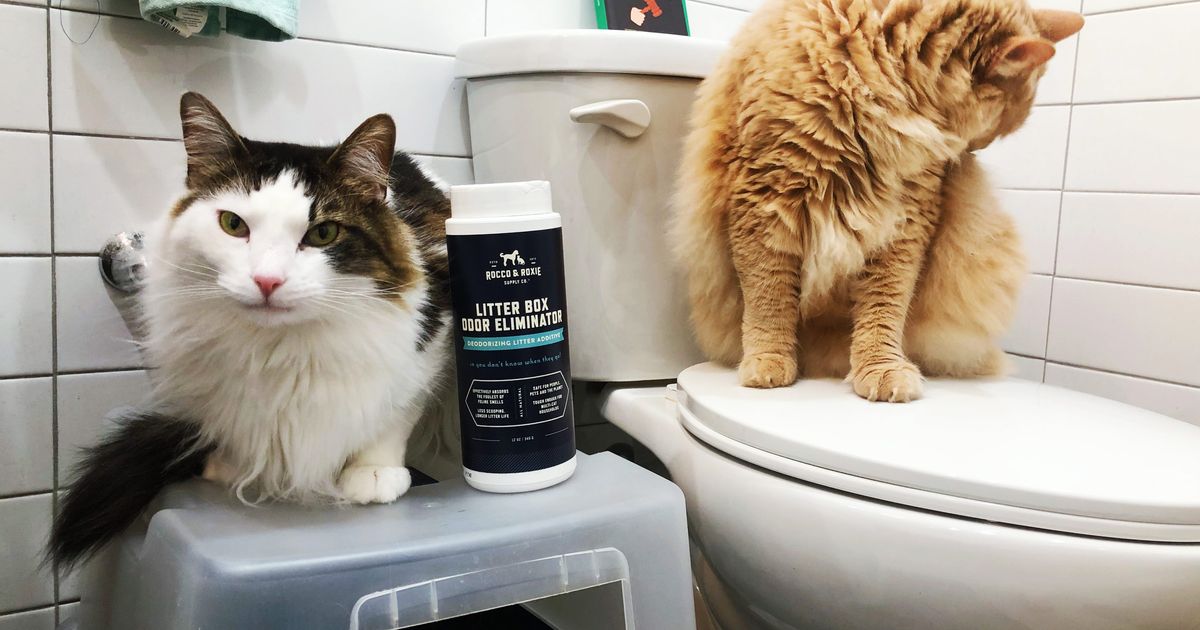Rocco & Roxie Supply Co. Litter Box Odor Eliminator Review The Strategist