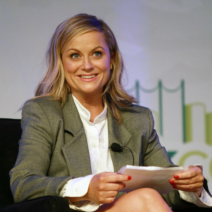 NEW YORK, NY - MAY 31: Amy Poehler attends day 3 of the 2014 Bookexpo America at The Jacob K. Javits Convention Center on May 31, 2014 in New York City. (Photo by Steve Sands/WireImage)