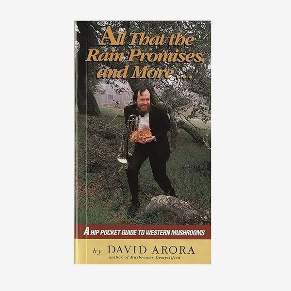 'All That the Rain Promises and More' by David Arora