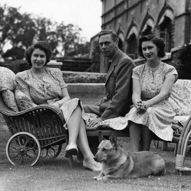 See Queen Elizabeth With Corgis, a Panda, Elephants, and Other Animals