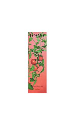 Loewe Tomato Leaves Incense Sticks
