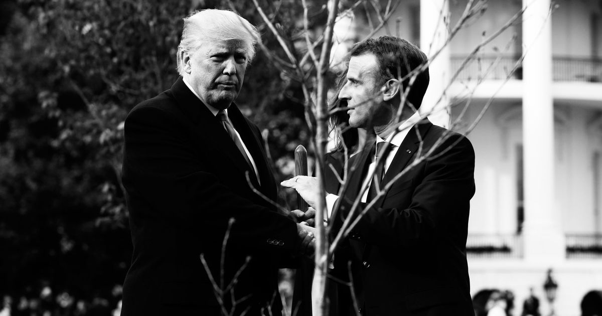 Donald Trump and Emmanuel Macron Plant Tree Sapling