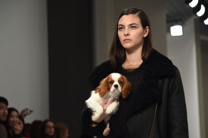 Gigi Hadid Opens Tod’s Show at Milan Fashion Week With a Dog