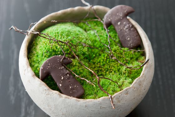 Chocolate and cep mushroom and cinnamon branches.