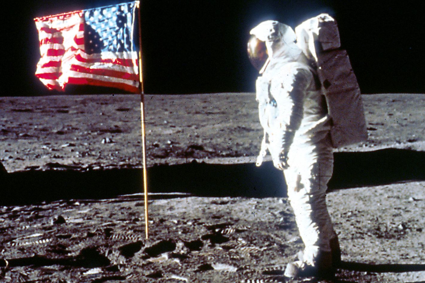 conciencia Consejo Pensativo Vivian Kubrick Hates Your Moon-Landing Theories