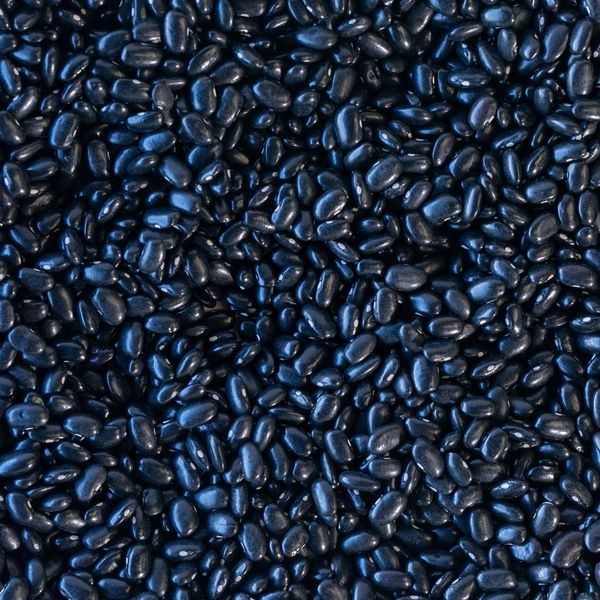 Rancho Gordo Midnight Black Bean