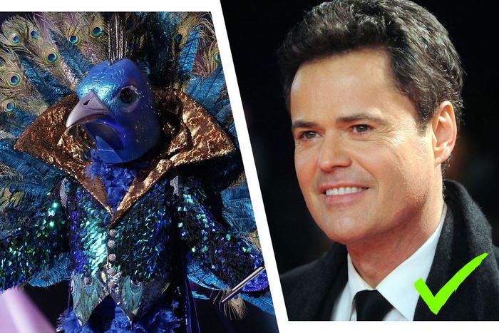 Confirmed: The Peacock is Donny Osmond!