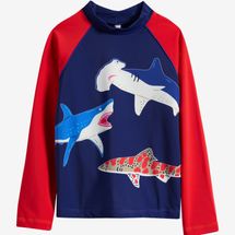 Mini Boden Kids’ Colorblock Long Sleeve Rashguard