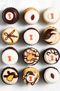 Williams-Sonoma No Kid Hungry Georgetown Cupcake Fall Cupcake Sampler, Set of 12