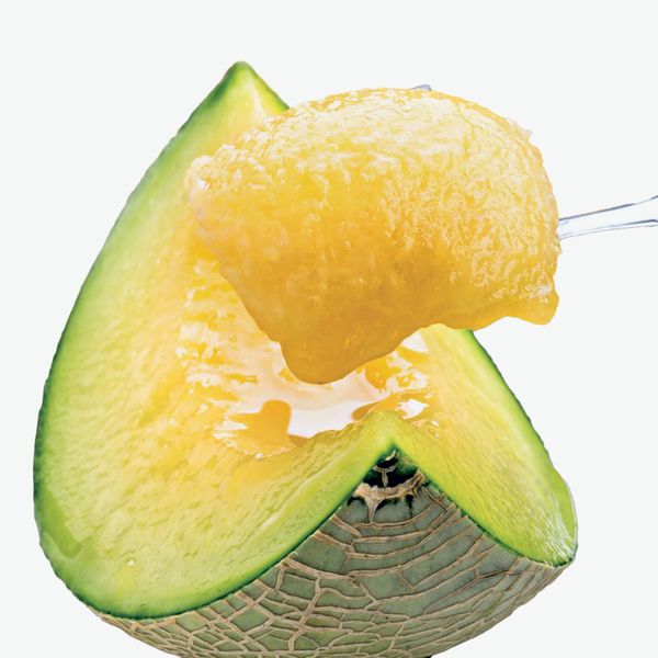 Premium Grade Japanese Musk Melon