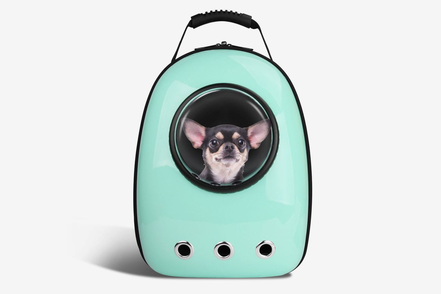 27 of the Best and Coolest Dog Accessories The