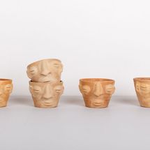 Poco Store Face Agave Cups